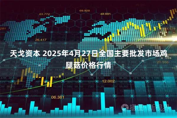 天戈资本 2025年4月27日全国主要批发市场鸡腿菇价格行情