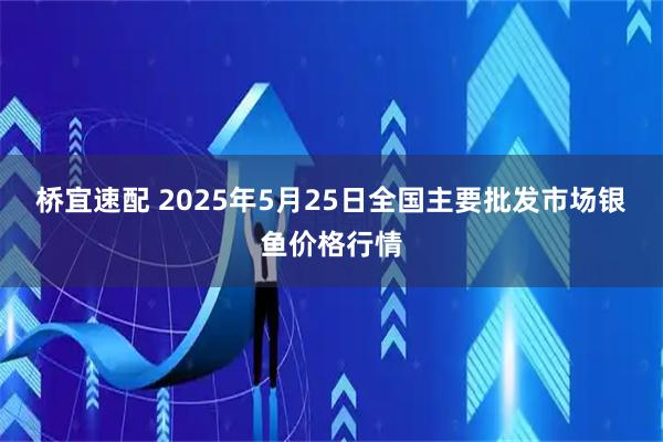 桥宜速配 2025年5月25日全国主要批发市场银鱼价格行情