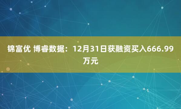 锦富优 博睿数据：12月31日获融资买入666.99万元